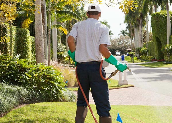 About Fernandina Beach FL Pest Control